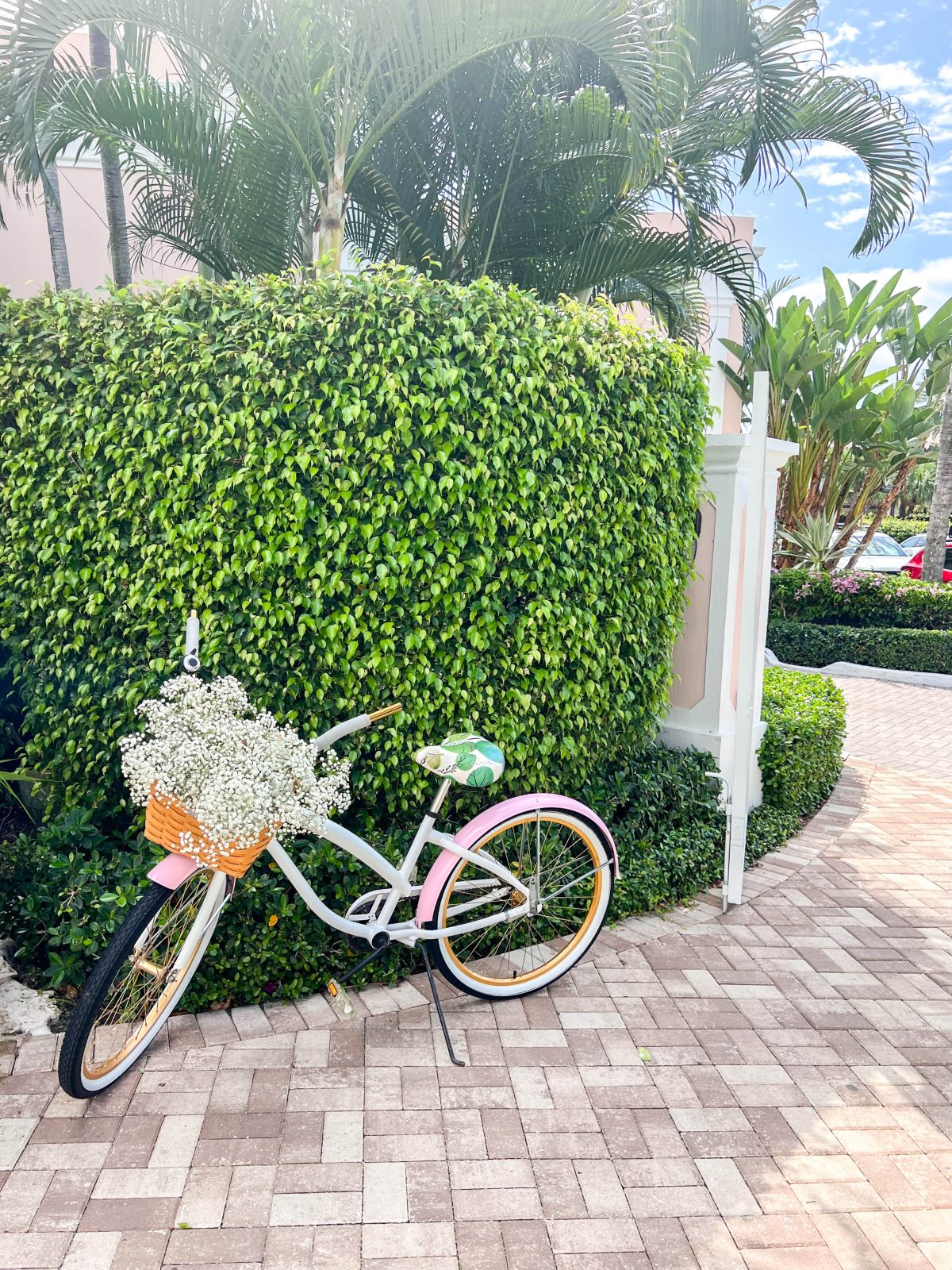 Bicycle at The Colony Hotel