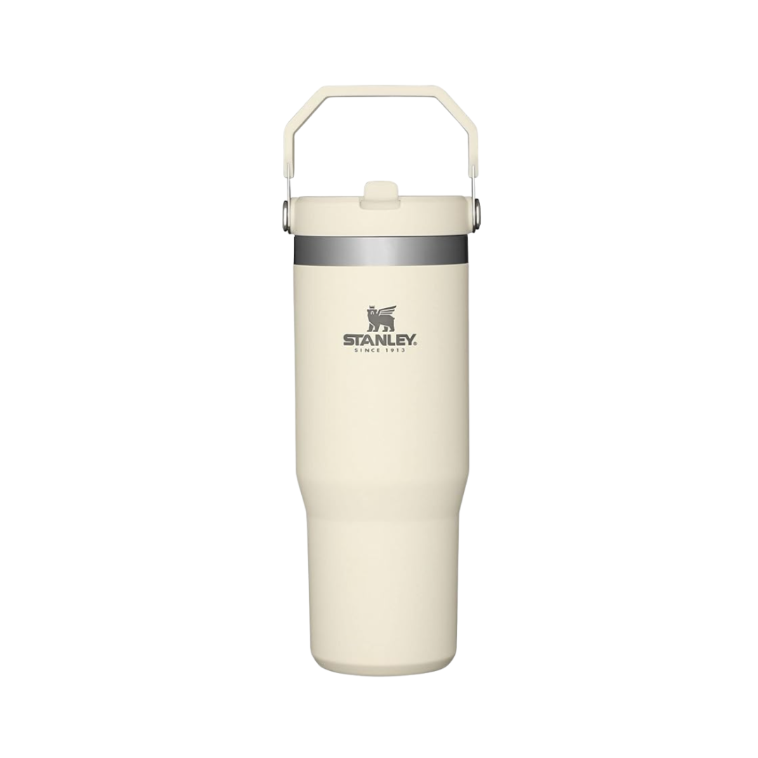 Reusable stanley water bottle