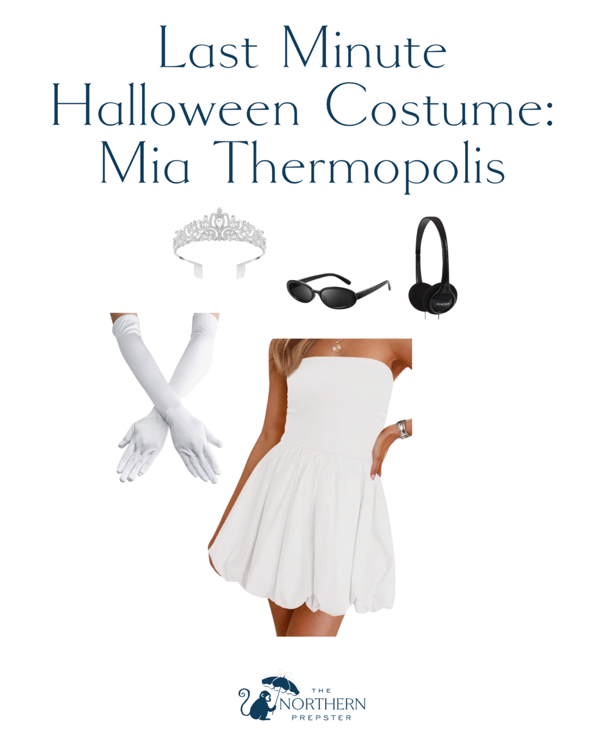 Princess Diaries Mia Thermopolis Halloween costume